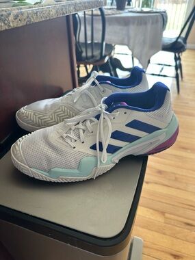Adidas barricade 10.5 mens with Blue Stripes and Mint & Purple Accents